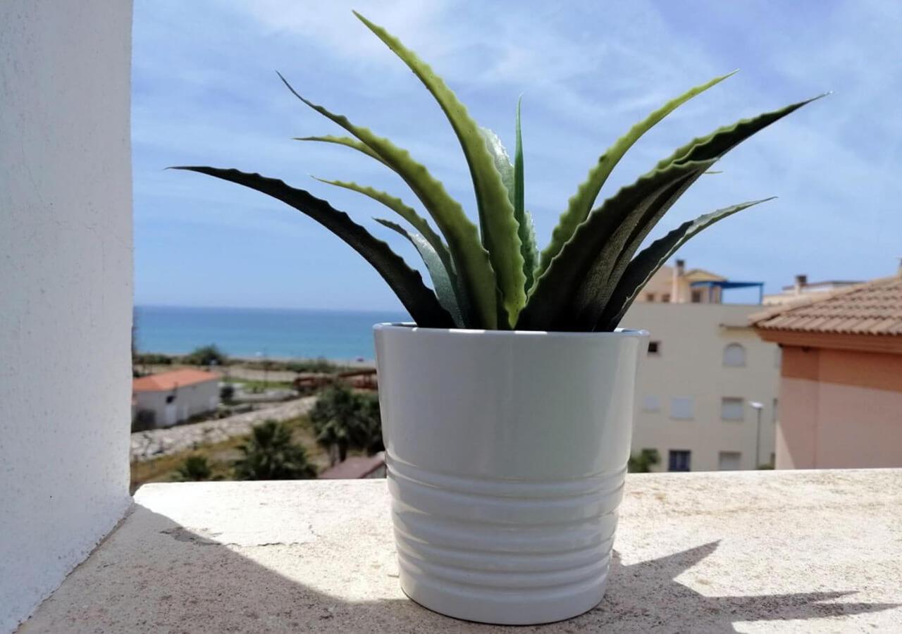 Apartment Dunas Jewel *